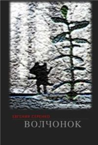 Обложка книги «Волчонок»