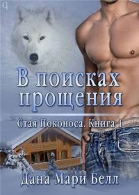 Обложка книги «В поисках прощения»