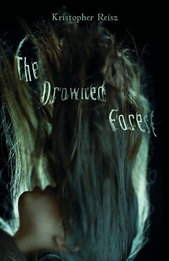 Обложка книги «The Drowned Forest»