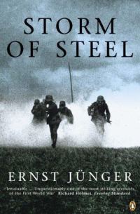 Обложка книги «Storm of Steel»