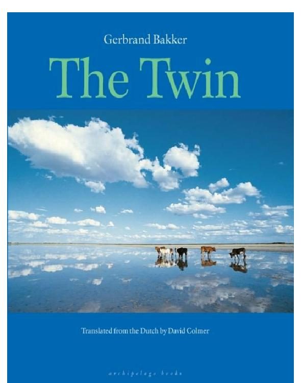 Обложка книги «The Twin»