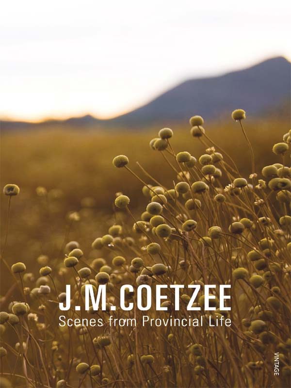 Обложка книги «Scenes from Provincial Life»