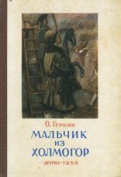 Обложка книги «Мальчик из Холмогор»