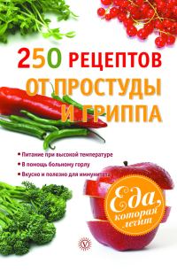 Обложка книги «250 рецептов от простуды и гриппа»