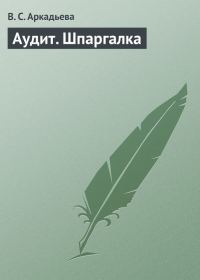 Обложка книги «Аудит. Шпаргалка»