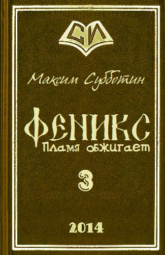 Обложка книги «Пламя обжигает»
