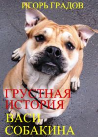 Обложка книги «Грустная история Васи Собакина»