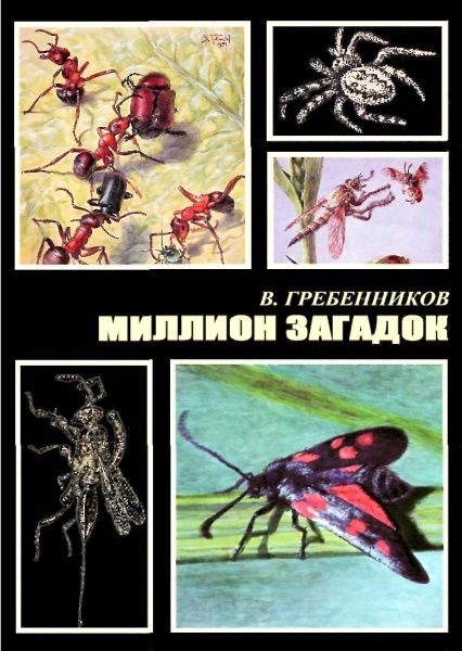 Обложка книги «Миллион загадок»