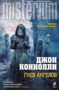 Обложка книги «Гнев ангелов»