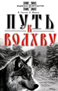 Обложка книги «Путь к волхву»