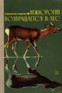 Обложка книги «Нежнорогий возвращается в лес»