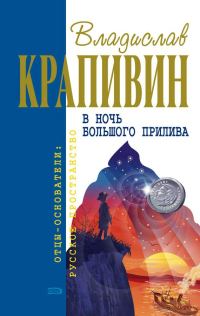 Обложка книги «Выстрел с монитора»