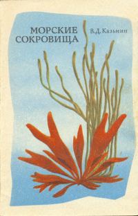 Обложка книги «Морские сокровища»