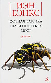 Обложка книги «Шаги по стеклу»