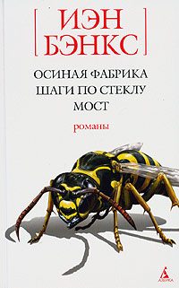 Обложка книги «Шаги по стеклу»