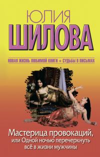 Обложка книги «Мастерица провокаций, или Одной ночью перечеркнуть все в жизни мужчины»