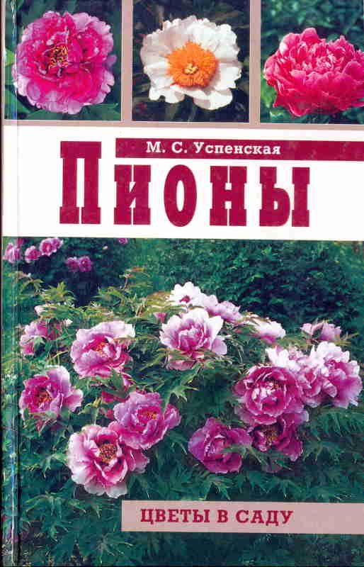 Обложка книги «Пионы»