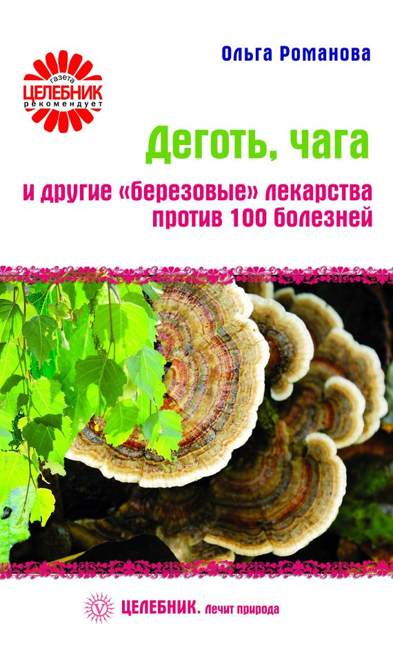 Обложка книги «Деготь, чага и другие «березовые» лекарства против 100 болезней»