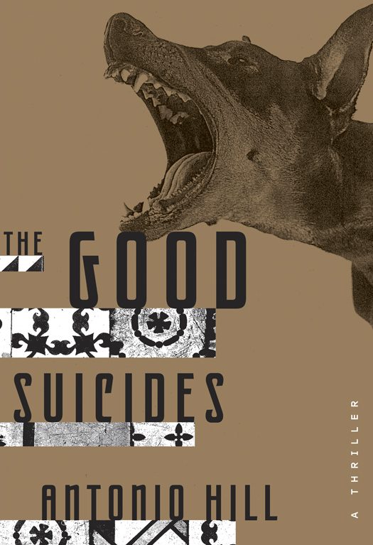 Обложка книги «The Good Suicides»