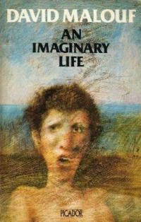 Обложка книги «An Imaginary Life»
