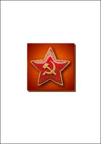 Обложка книги «Инструкция по применению зажигательных бутылок»