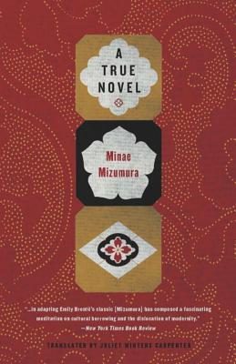Обложка книги «A True Novel»