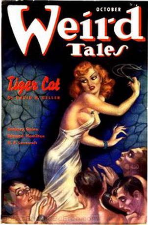 Обложка книги «Tiger Cat»