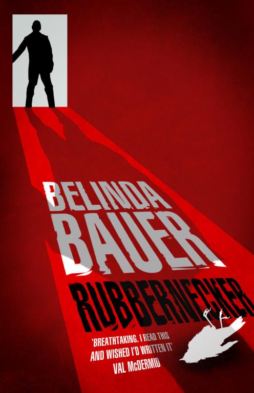 Обложка книги «Rubbernecker»