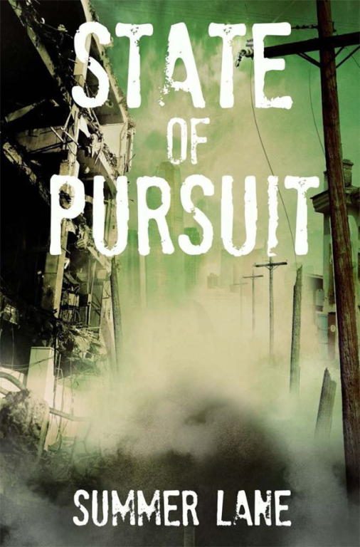 Обложка книги «State of Pursuit»