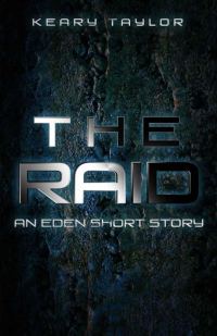 Обложка книги «The Raid»