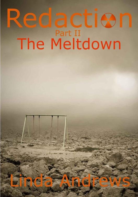 Обложка книги «The Meltdown»