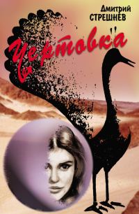 Обложка книги «Чертовка»