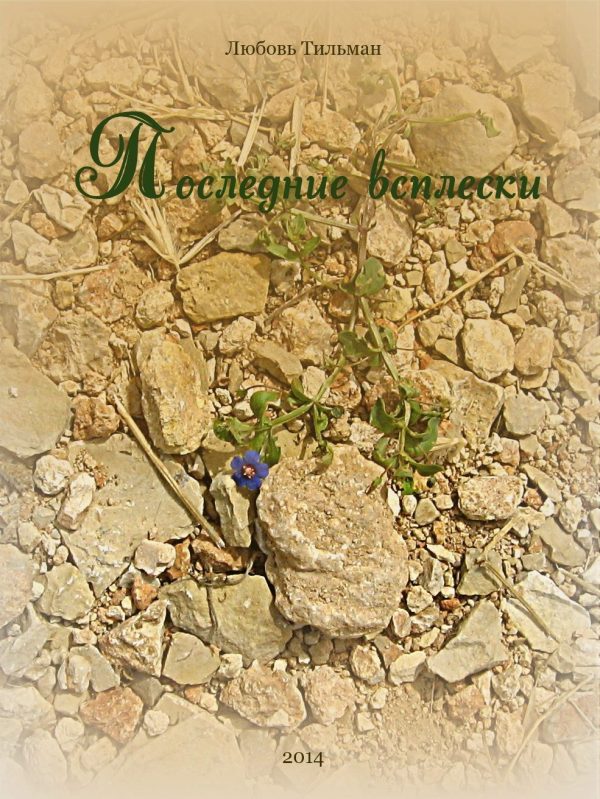 Обложка книги «Последние всплески»