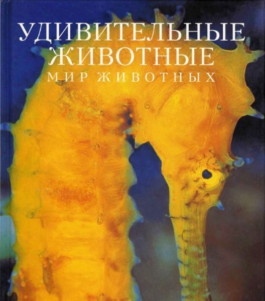 Обложка книги «Удивительные животные»
