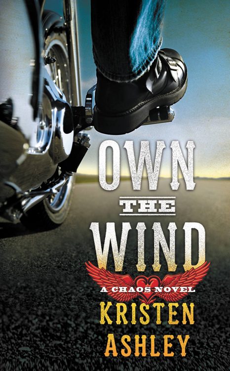 Обложка книги «Own the Wind»