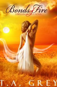 Обложка книги «Bonds of Fire»