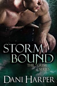 Обложка книги «Storm Bound»