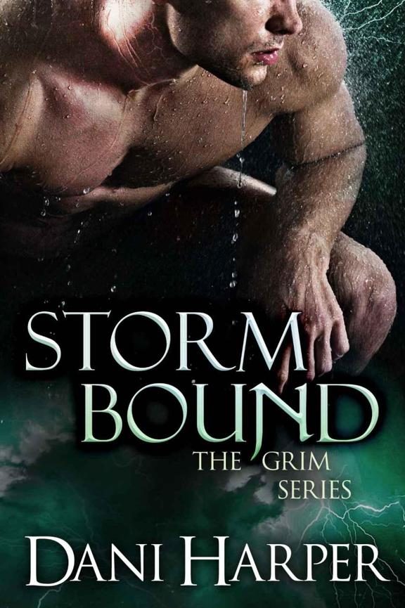 Обложка книги «Storm Bound»