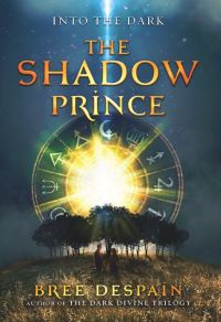 Обложка книги «The Shadow Prince»