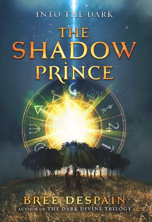 Обложка книги «The Shadow Prince»