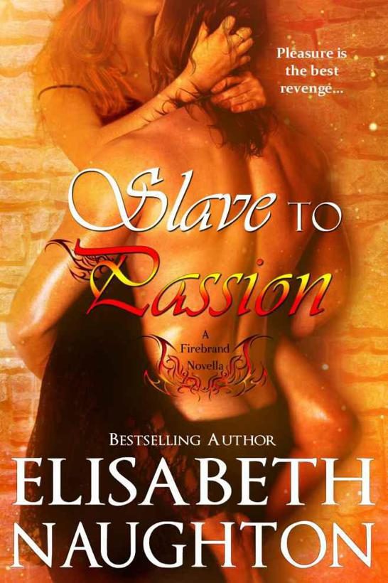Обложка книги «Slave to Passion»