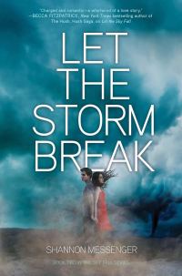 Обложка книги «Let the Storm Break»