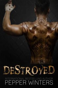 Обложка книги «Destroyed»