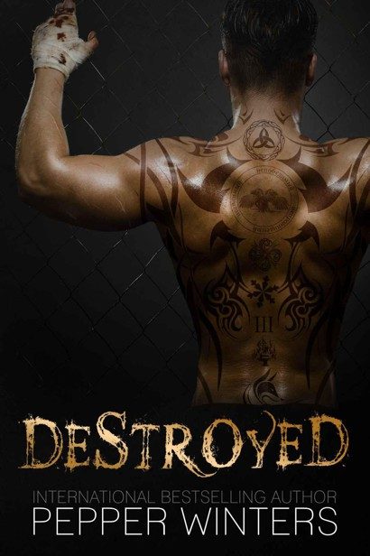 Обложка книги «Destroyed»