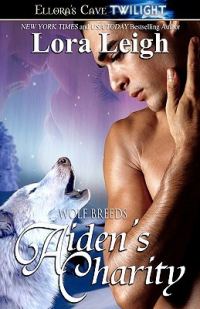 Обложка книги «Aiden's Charity»