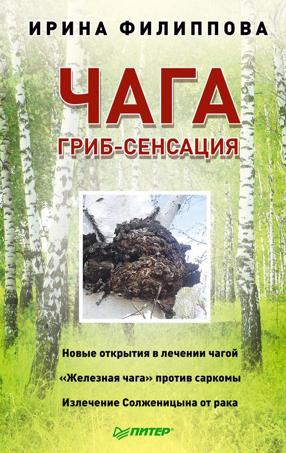 Обложка книги «Чага. Гриб-сенсация»