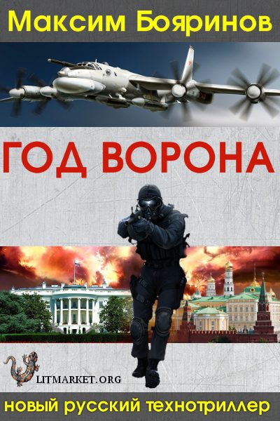 Обложка книги «Год ворона, книга первая»