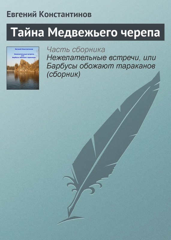 Обложка книги «Тайна Медвежьего черепа»
