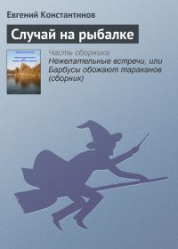 Обложка книги «Случай на рыбалке»