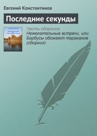 Обложка книги «Последние секунды»